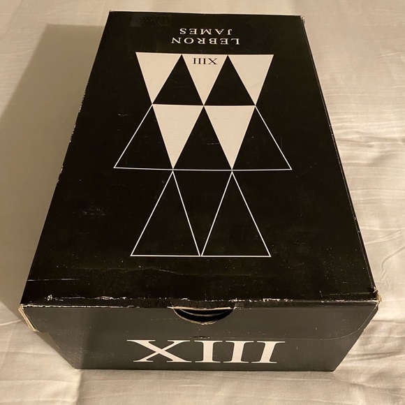 Nike LeBron James XIII Black Lion - Picture 7 of 9